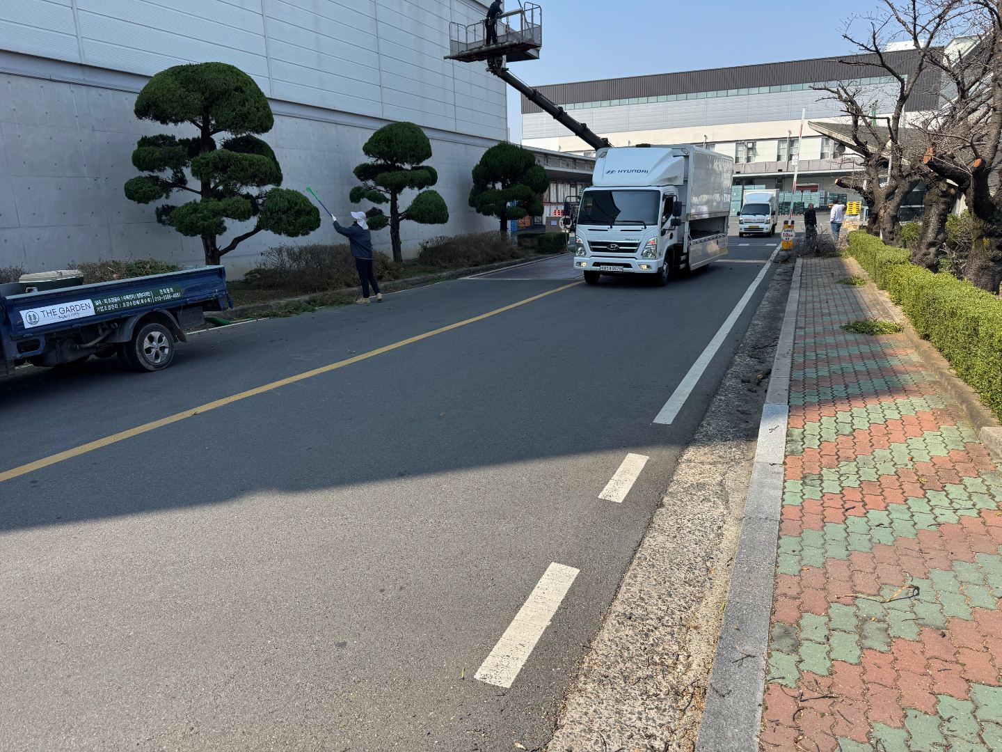 기업내 수목전지 3
