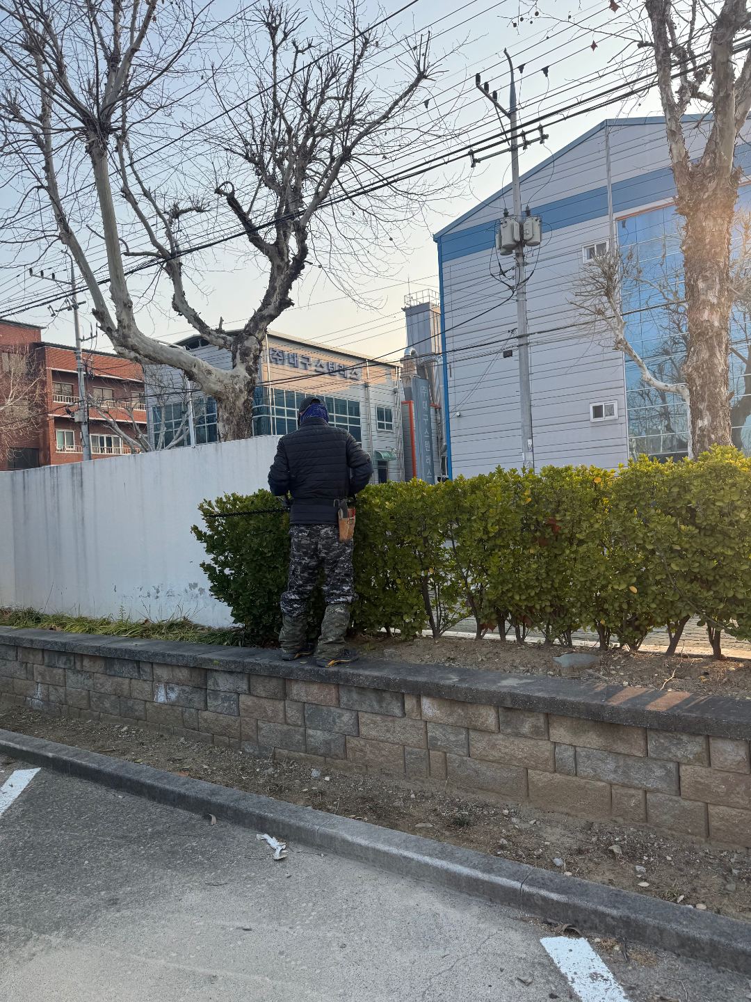 기업내 수목전지 5