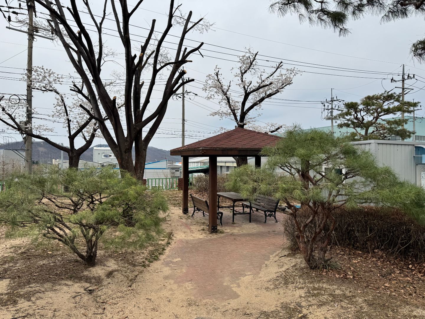 기업조경관리 - 연계약 관리 및 수목전지 7