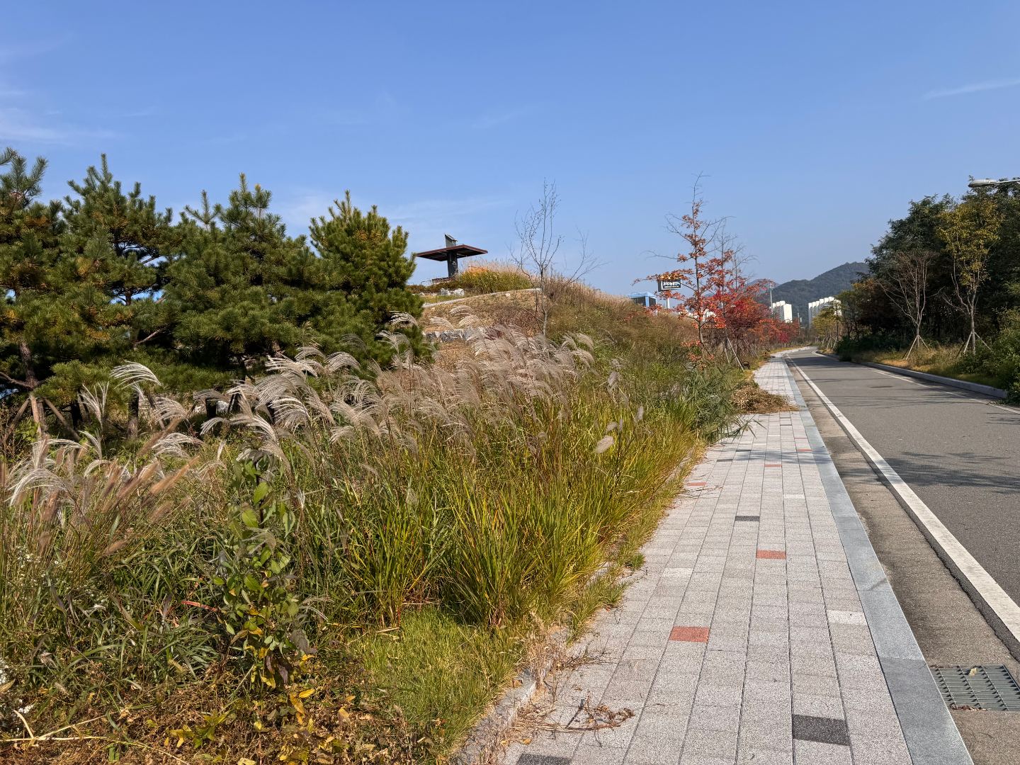 GS건설 하수처리시설 부지내 조경관리 7