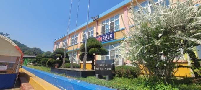 초등학교 부지내 조경관리 및 수목전지 5