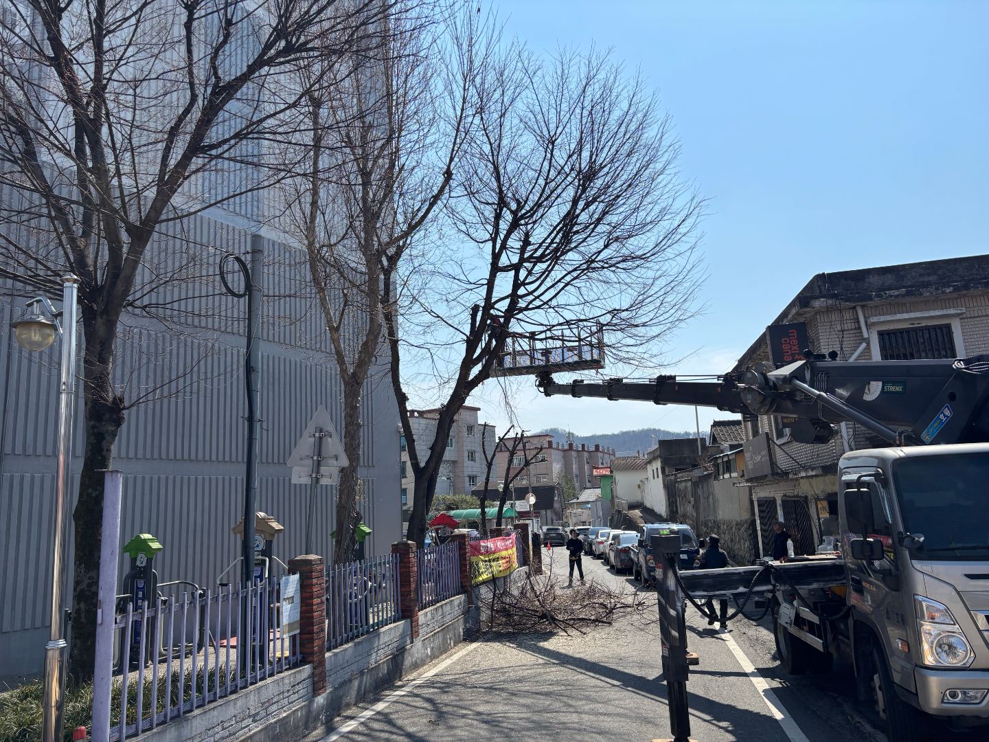 문화아파트 수목전지 4