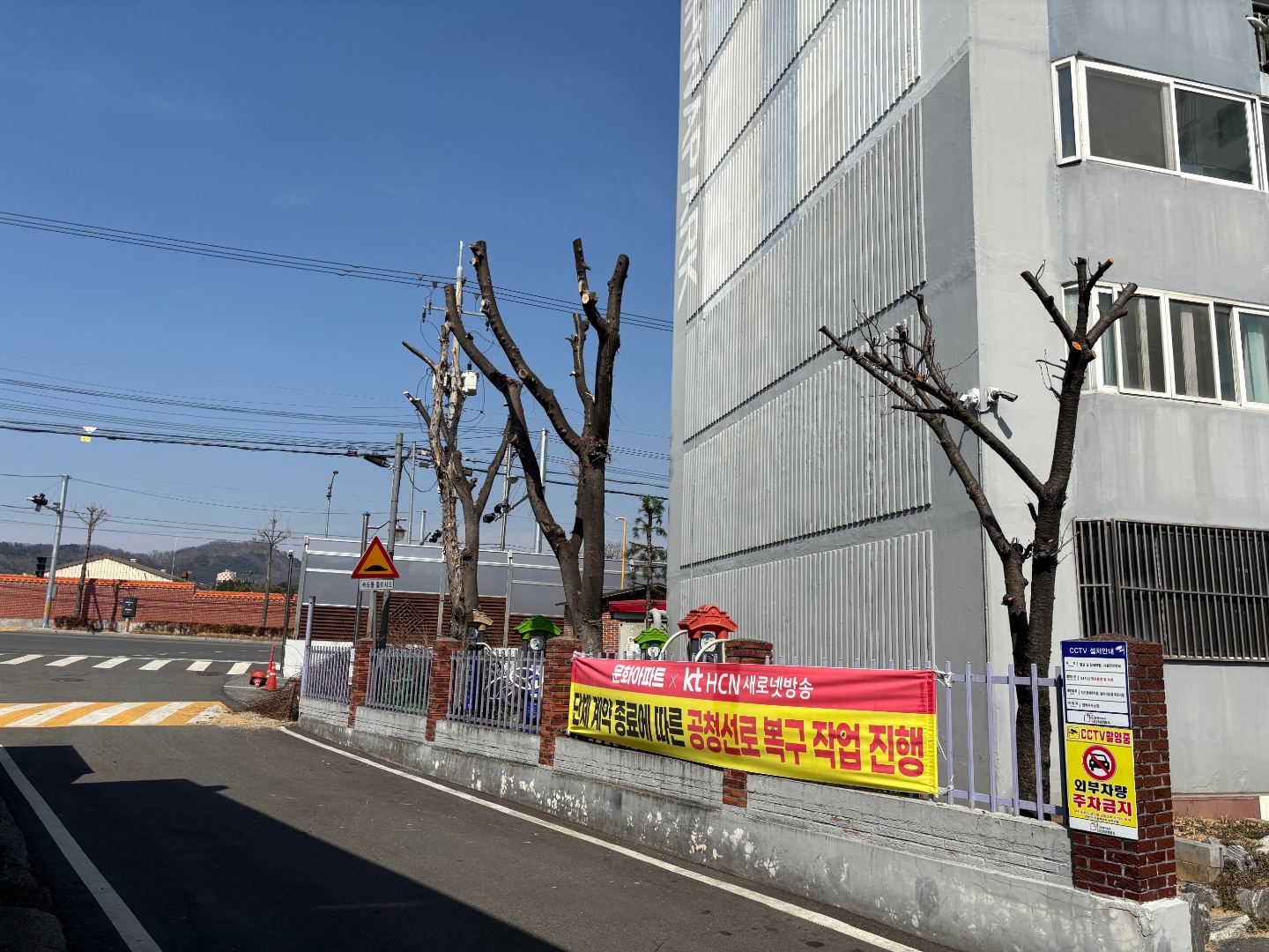 문화아파트 수목전지 5