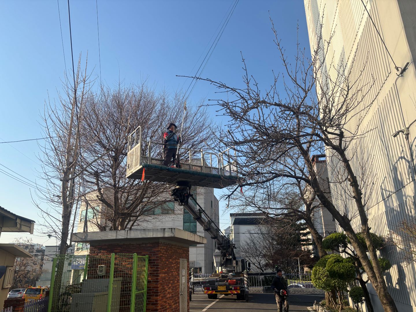 문화아파트 수목전지 7