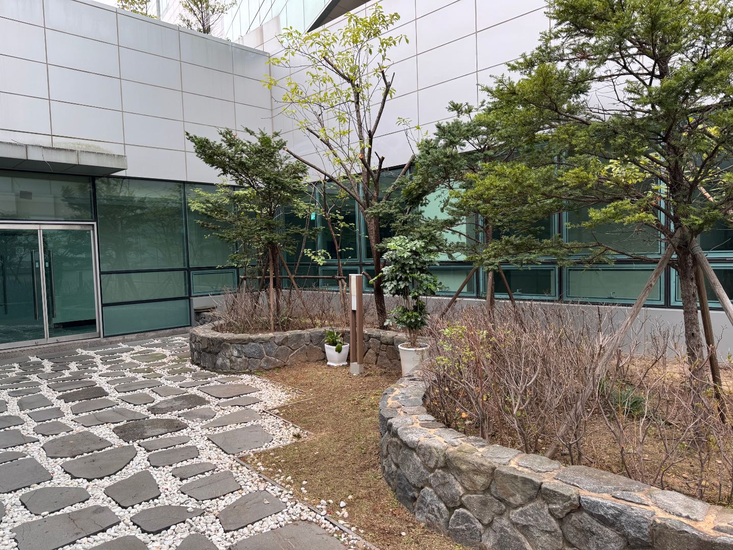 경북지방우정청 수목제거 및 전지 작업 3