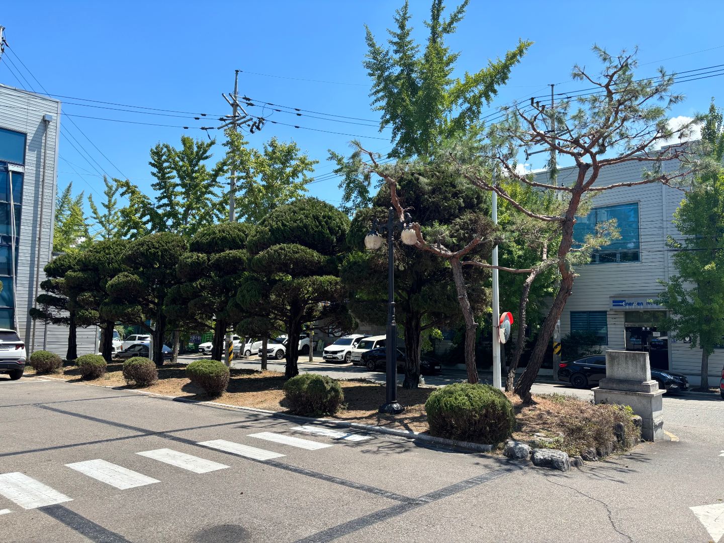 LS메카피온 기업내 수목전지 & 제거 4